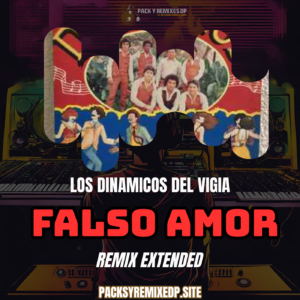 Falso Amor - Los Dinámicos del Vigía - Remix Extended