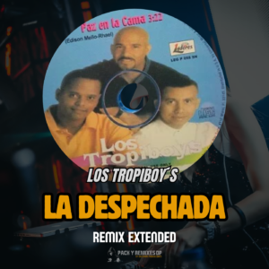 La Despechada (Remix Extended Edit) - Los Tropiboy’s